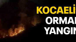 Kocaeli’de orman yangını